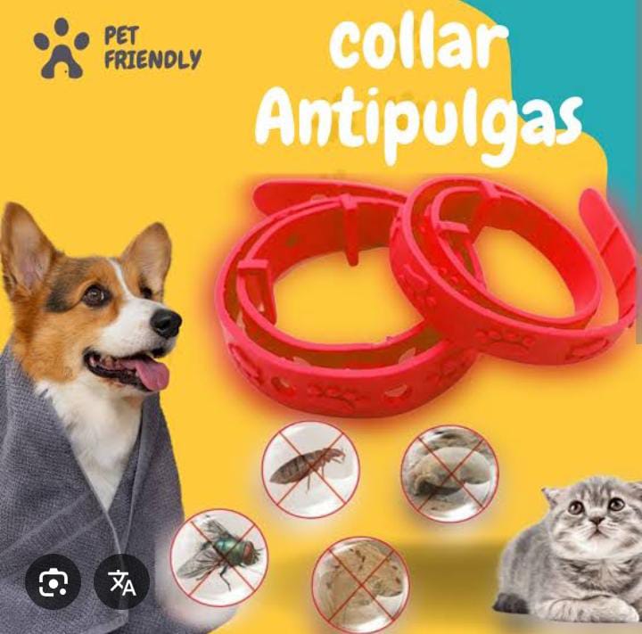 Collar Anti-Pulgas