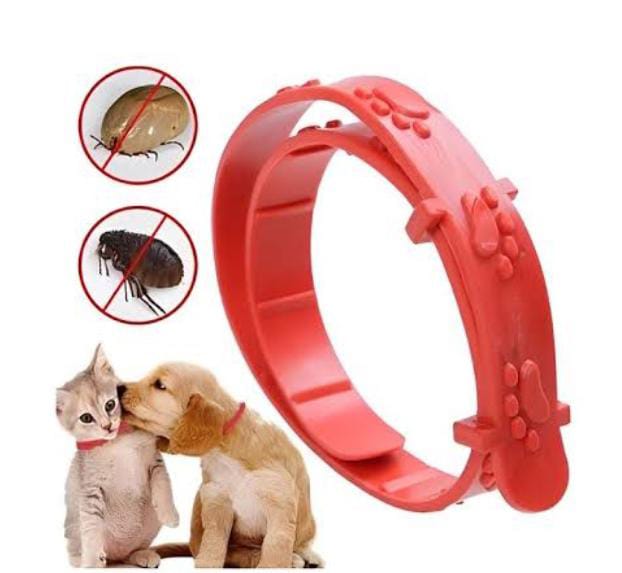 Collar Anti-Pulgas